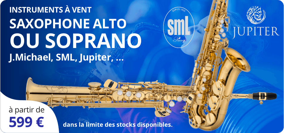 SAXOPHONE ALTO OU SOPRANO J.Michael, SML, Jupiter, …